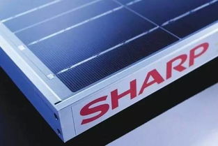 夏普轉守為攻 光伏發電業務扭虧為盈