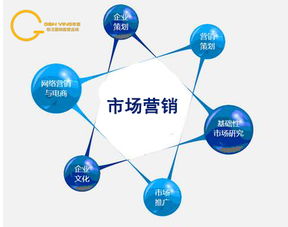 淘寶網(wǎng)電子商務(wù)市場(chǎng)營(yíng)銷分析